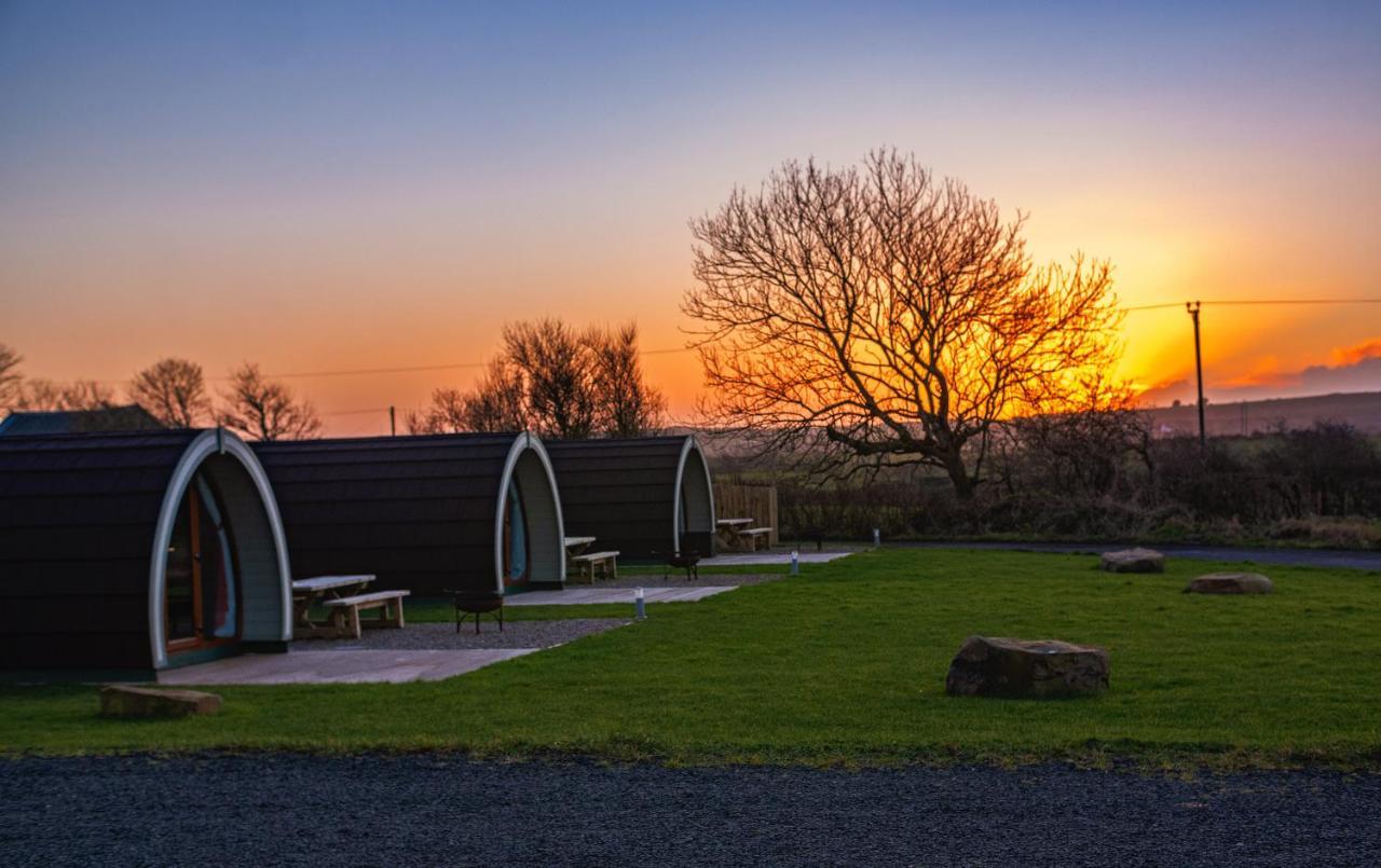 Hotel Causeway Country Pods à Bushmills Extérieur photo