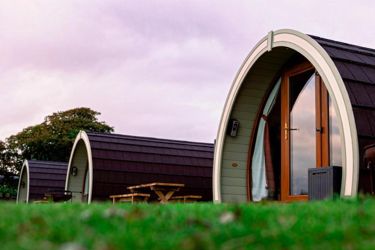 Hotel Causeway Country Pods à Bushmills Extérieur photo